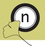 circle n nanzerdivision logo with ginko leaf falling through